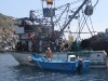 Illegales Fischerboot