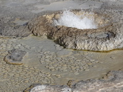 Upper Geysir Basin